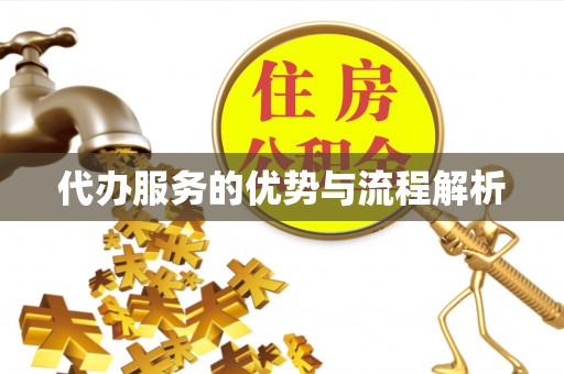 南皮代办服务的优势与流程解析