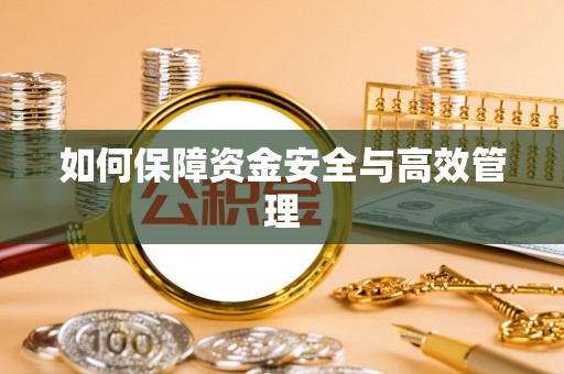 南皮如何保障资金安全与高效管理