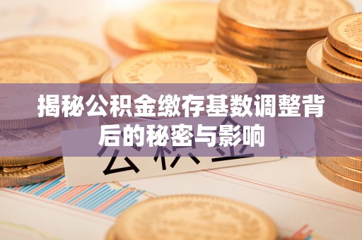 南皮揭秘公积金缴存基数调整背后的秘密与影响
