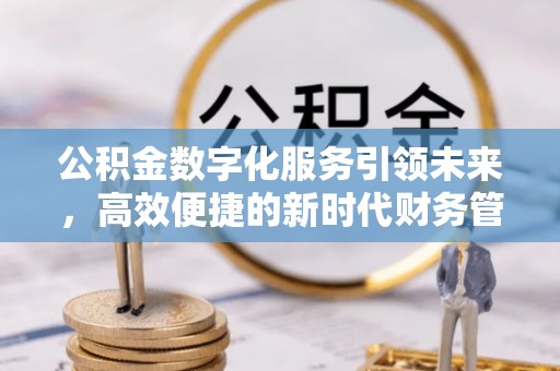 南皮公积金数字化服务引领未来，高效便捷的新时代财务管理
