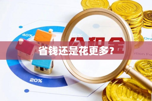 南皮省钱还是花更多？