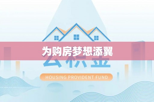 南皮为购房梦想添翼