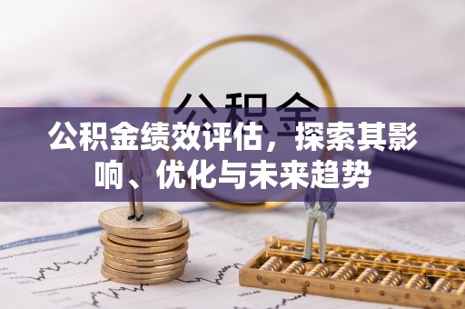 南皮公积金绩效评估，探索其影响、优化与未来趋势