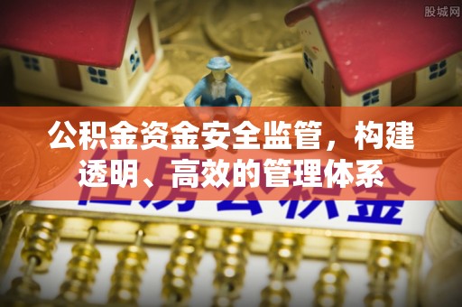 南皮公积金资金安全监管，构建透明、高效的管理体系