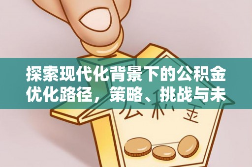 南皮探索现代化背景下的公积金优化路径，策略、挑战与未来展望