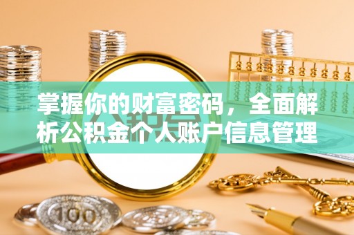 南皮掌握你的财富密码，全面解析公积金个人账户信息管理与优化