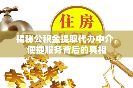 南皮揭秘公积金提取代办中介，便捷服务背后的真相