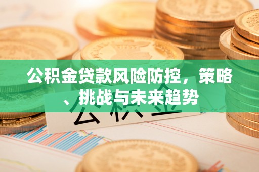 南皮公积金贷款风险防控，策略、挑战与未来趋势
