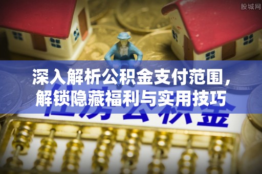南皮深入解析公积金支付范围，解锁隐藏福利与实用技巧