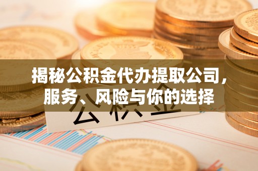 南皮揭秘公积金代办提取公司，服务、风险与你的选择