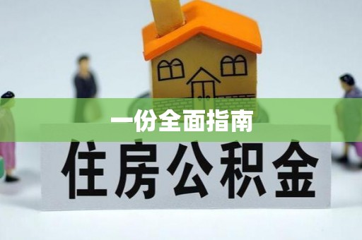 南皮一份全面指南