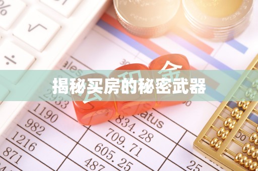 南皮揭秘买房的秘密武器