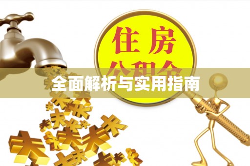南皮全面解析与实用指南