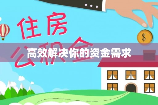南皮高效解决你的资金需求