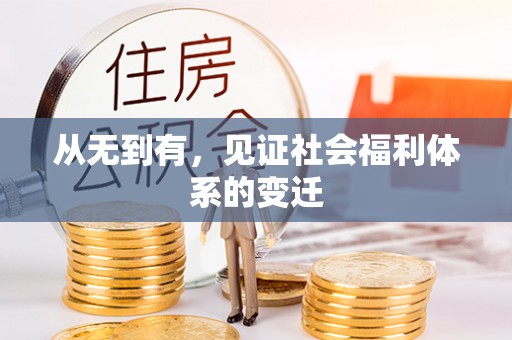 南皮从无到有，见证社会福利体系的变迁