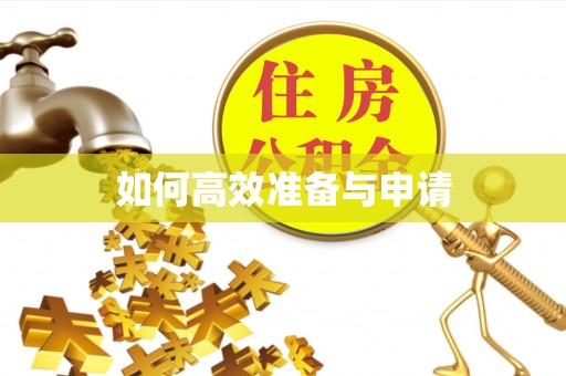 南皮如何高效准备与申请