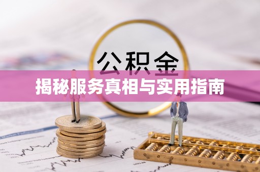 南皮揭秘服务真相与实用指南