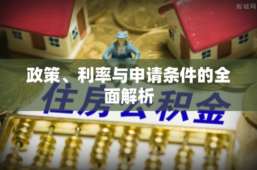 南皮政策、利率与申请条件的全面解析