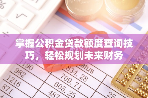 南皮掌握公积金贷款额度查询技巧，轻松规划未来财务