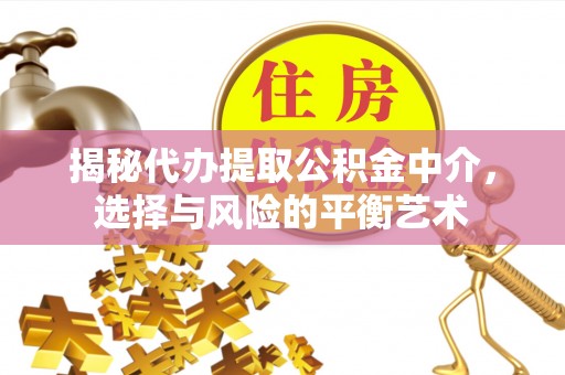 南皮揭秘代办提取公积金中介，选择与风险的平衡艺术