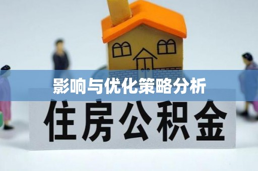 南皮影响与优化策略分析
