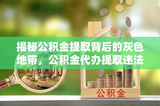 南皮揭秘公积金提取背后的灰色地带，公积金代办提取违法不？