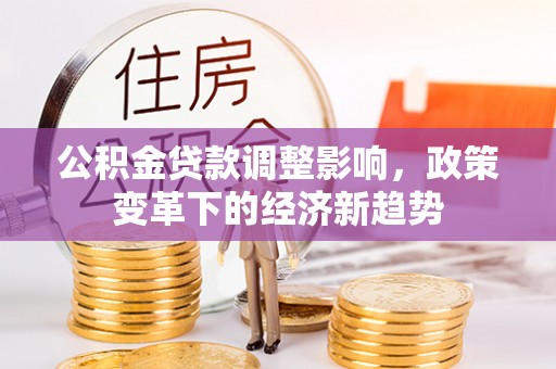 南皮公积金贷款调整影响，政策变革下的经济新趋势