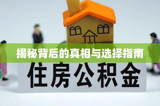 南皮揭秘背后的真相与选择指南
