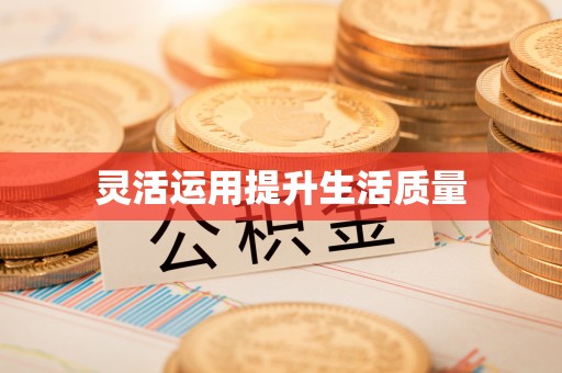 南皮灵活运用提升生活质量
