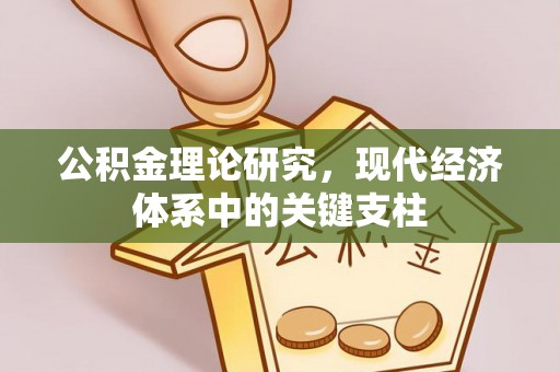 南皮公积金理论研究，现代经济体系中的关键支柱