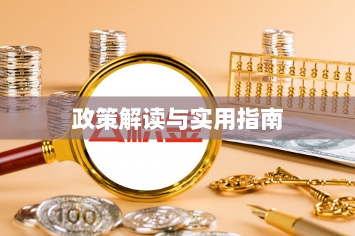 南皮政策解读与实用指南