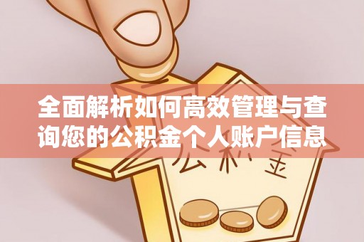 南皮全面解析如何高效管理与查询您的公积金个人账户信息