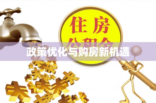 南皮政策优化与购房新机遇