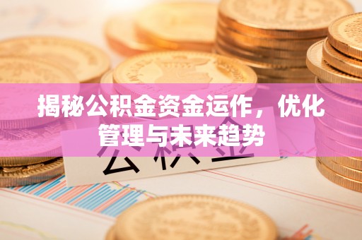 南皮揭秘公积金资金运作，优化管理与未来趋势