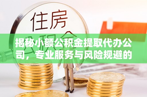 南皮揭秘小额公积金提取代办公司，专业服务与风险规避的平衡艺术