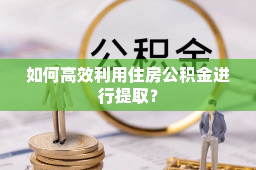 南皮如何高效利用住房公积金进行提取？