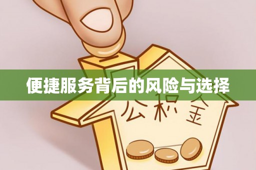 南皮便捷服务背后的风险与选择